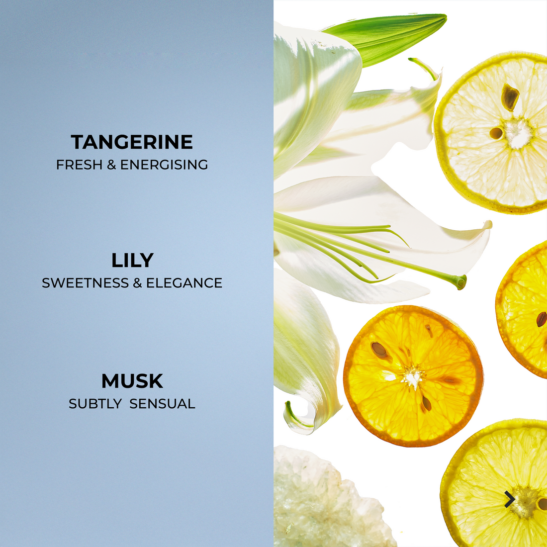 Ocean Romance Mist Combo